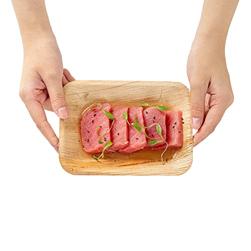 Image of Restaurantware Midori 6.3 x 4.7 Inch Square Palm Plates 100 Microwavable Palm Leaf Plates - Freezable Sustainable Areca Palm Leaf Plates Oven-Ready For Hot & Cold Foods