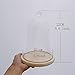Artlass Glass Bell Shape Display Dome with Wooden Base 8.6