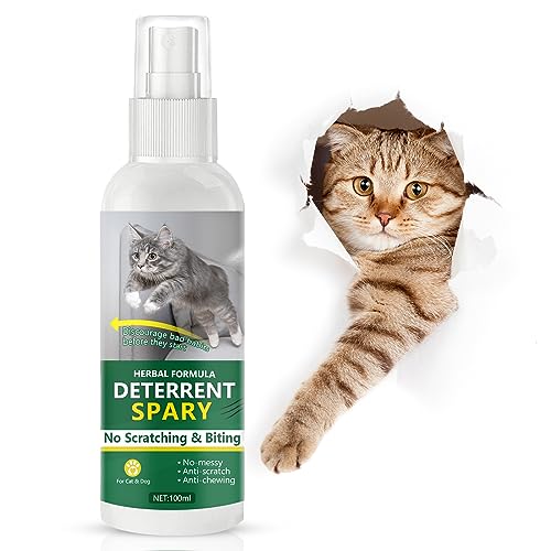 Top 10 Best Cat Repellent Furniture Spray Reviews & Buying Guide