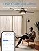 meross Smart Ceiling Fan Control & Dimmer Light Switch, Works w/Apple HomeKit, Alexa, Google & SmartThings, 4-Speed Fan Control, 2.4G Wi-Fi Fan and Light Switch Combo, Neutral Wire Needed, Single Pole
