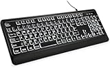 大きめの文字のバックライト付きキーボード、静かなUSB有線コンピューターキーボード、光るホワイトLED付きフルサイズキーボード Windowsデスクトップ、ノートパソコン、PC、ゲームに対応、ブラック (ブラック, 特大)