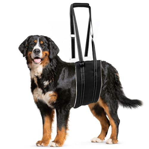 Dog Lift Harness, Adjustable Comfortable Dog ...