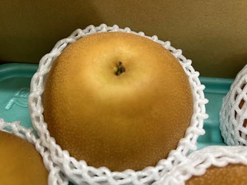 栃木産 にっこり梨 【秀品】約5KG 大玉サイズ 4玉〜8玉 お歳暮贈答用 【10月中旬〜11月上旬頃発送日付指定不可】のサムネイル