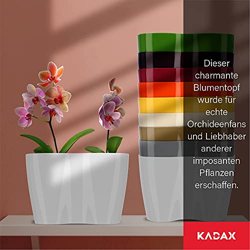 KADAX Blumentopf für Innen, Orchideen, Blumen, Pflanzen, Fensterbank, Übertopf, Orchideentopf, Pflanztopf aus Kunststoff… – Ansicht 5