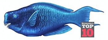 Paperback Bermuda's Top 10 - A Guide to the Island's Wildlife Book