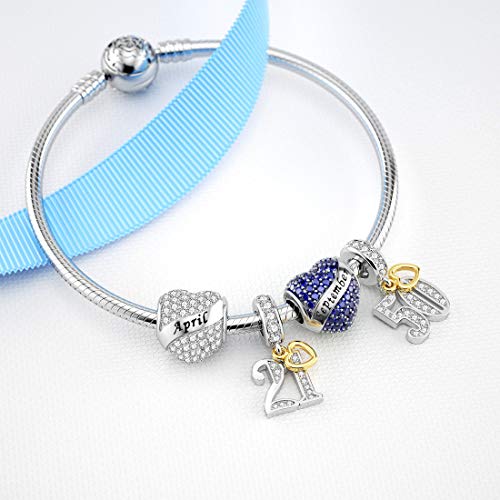 DALARAN Birthstone Charms for Charms Bracelet 925 Sterling Silver Heart Bead Happy Birthday Charms for Women3