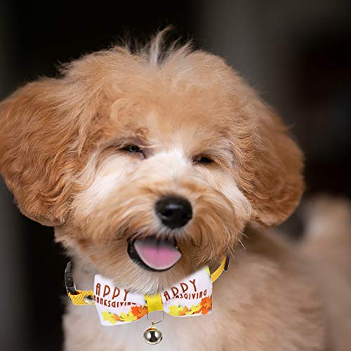 Animal de estimação Dia de Ação de Graças fita colorida Bell Bowknot Collar Gravata (Bowknot Univers