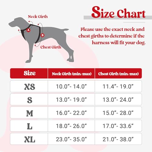 Image of rabbitgoo Dog Harness, No-Pull Pet Harness with 2 Leash Clips, Adjustable Soft Padded Dog Vest, Reflective No-Choke Pet Oxford Vest with Easy Control Handle for Small Breed,Red,XS