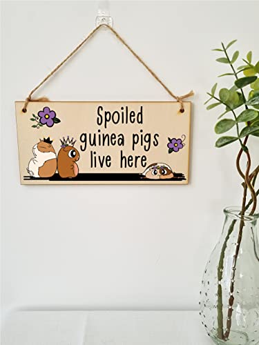 Handmade Wooden Hanging Wall Plaque Spoiled Guinea Pigs Live Here Cute Pet Lover Mum Dad Gift Sign, wood-coloured, 20 cm x 10 cm - Image 2