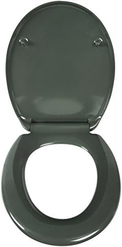 WOLTU Grey Toilet Seat, Soft Close Quick Release Toilet Seat,Anti-Bacterial,Dual Fittings System Included