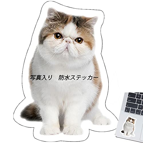 EnkourayGRz IWi I[_[XebJ[ ʐ^XebJ[ I[_[Ch A Mtg vo hXebJ[ a v[g ̎qObY  ybg  킢