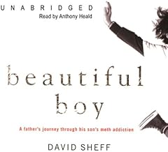 Beautiful Boy: A Father's Journey through His Son's Meth Addiction