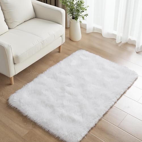 Small Bedside Rug, 2x3 Non Slip Fluffy Shaggy Entryway Throw Rugs for Bedroom Living Room, Indoor Floor Carpet for Kids Girls and Boys, Nursery Rooms Mat, Home Decor Aesthetic, White