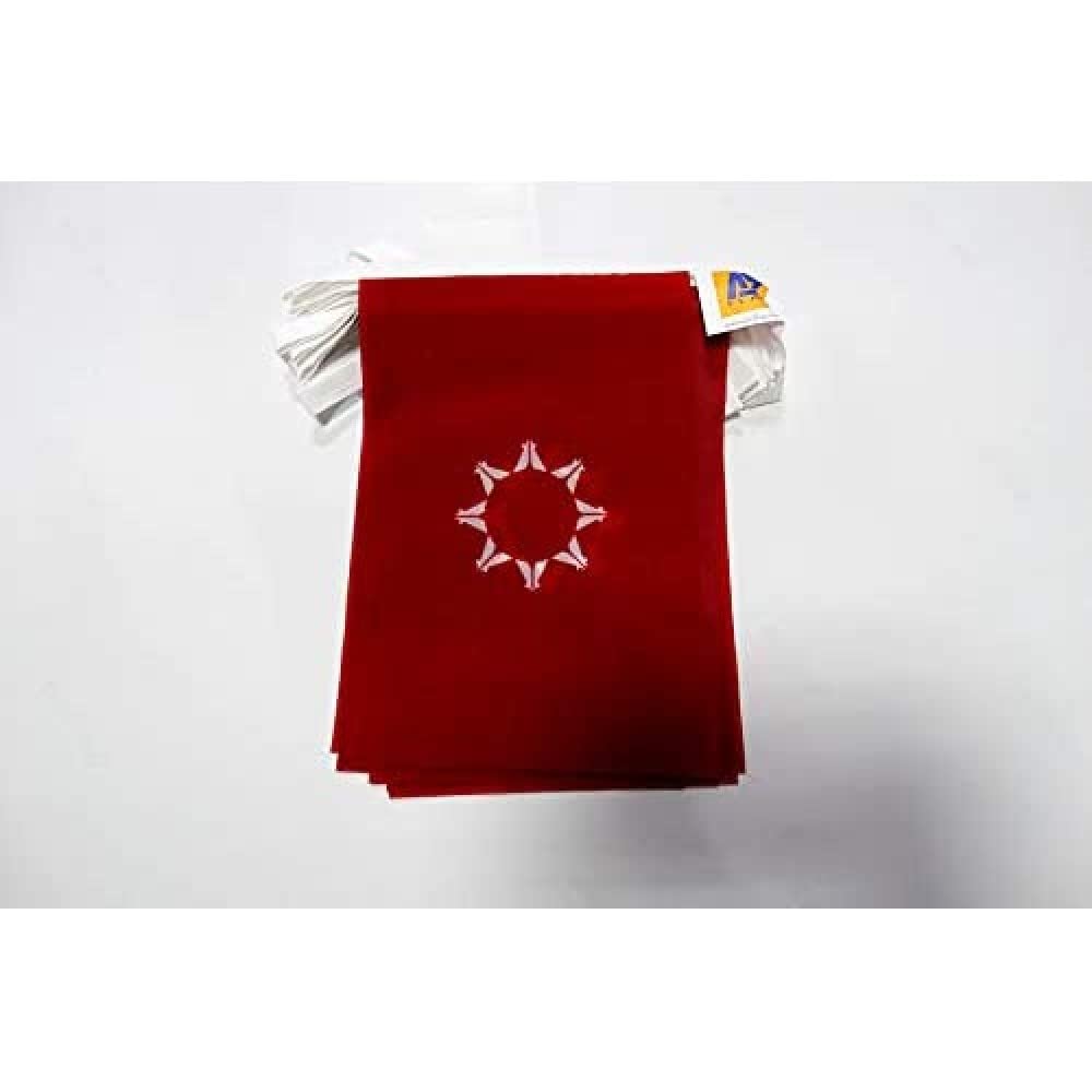 AZ FLAG Oglala Sioux Tribe Bunting 20 ft 20 flags Light Polyester