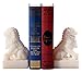 WQQLQX Statue Dekorative buchende löwe weiße Statue Buch Ende schwere Regal bookhelf Home Decoration zubehör Desktop buchende skulptur Book end Set Skulpturen