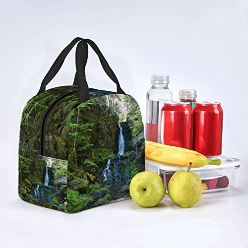 Dixon Falls Insulated Lunch Bag Cooler Tote Reusable Leakproof Lunch Box Easy Clean For Work Office Picnic Beach Or Travel #TOP6