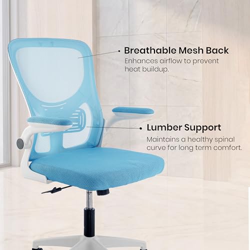 Image of Casa Copenhagen Blue White | Mid Back Imported Mesh Fabric Boss Office Chair | Y Design Ergonomic Back Support | 2D Aero Design Adjustable Armrests | Synchro Tilt Lock Mechanism Support