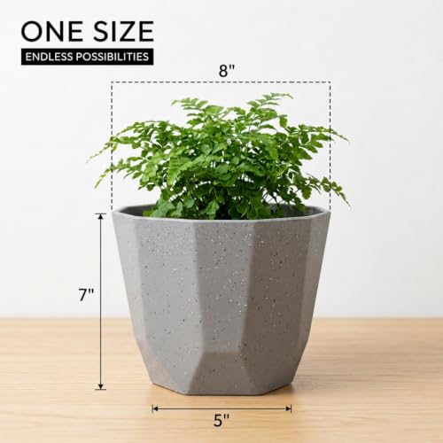 Image of YUCCABE ITALIA SHERA Hexa Plastic Planter Pot for Plants Decorative Flower Pot UV Protected Lightweight Indoor Outdoor Gamla for Home Decor, Balcony, Garden & Living Room (Stone Grey, 8 INCH - 3 Pcs)
