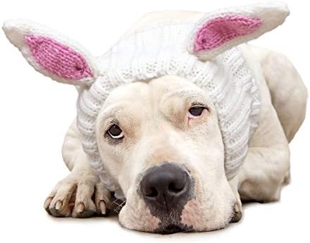 Zoo Snoods Bunny Costume for Dogs, Large - Warm No Flap Ear Wrap Hood for Pets, Dog Bunny Ears for Easter, Soft Yarn Ear Covers for Winters, Halloween Parties & Festivals
