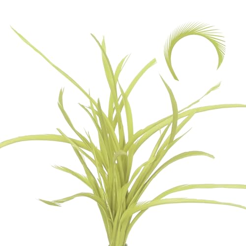 Image of sourcing map 60 Pcs Fly Tying Feathers Bulk, 5.1-6.7 Inch Colorful Stonefly Split Tails and Down Wings Tails Materials Goose Biots Feathers for DIY HandCrafts, Light Green
