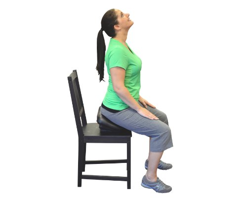 Image of Authentic Pettibon System Portable Wobble Chair for Back Pain Relief, Balance and Stability