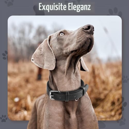 Grand Line Leder Hundehalsband, Lederhalsband Hund mit Weichem Gepolstertes, Breiter und Dicker Hundehalsband, Verstellbares Halsband Hunde für Kleine, Mittlere, Große Hunde (Schwarz, L)