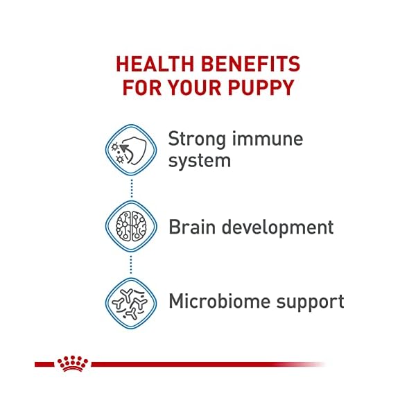 ROYAL CANIN Size Health Nutrition Mini Puppy Dry Dog Food, 2,5-Pound by – Bild 5