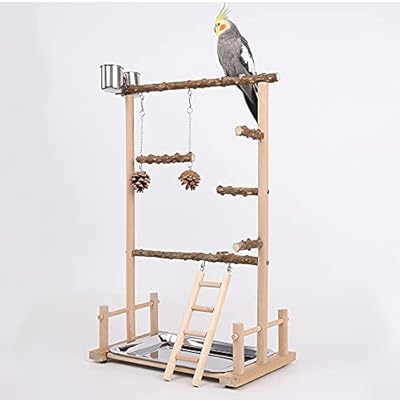 ATB-GIFT Bird Perch Stand Toy, Wooden Parrot Playground Gym, Budgie toys, Bird Cage - budgie cage - parrot cage Accessories for Small Parakeets, Cockatiels, Finches, Budgie(36.5 * 23 * 57CM)