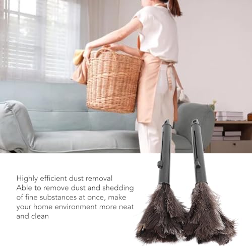 Image of Hztyyier 2Pcs Retractable Feather Duster Ostrich Feathers Duster, Elastic Retractable Pole, Efficient Dust Removal, Multifunctional Use, Long Handle