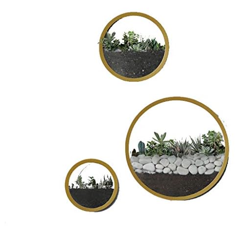 AOUFFS Hanging Flower Stand Pot Round Wall Hanging Plant Shelf Wrought Iron Geometric Line Indoor Living Room Kitchen Balcony Golden,S Cover