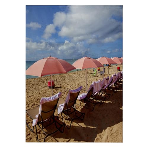 3dRose 22x30 Bath Pool Towel Royal Hawaiian Waikiki