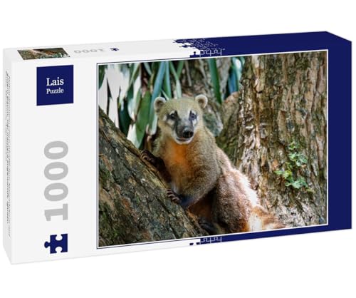 Lais Puzzle Primer Plano de un Lindo coatí sobre un árbol, Mirando a la cámara, Cataratas del Iguazú, Misiones, Argentina 1000 Piezas