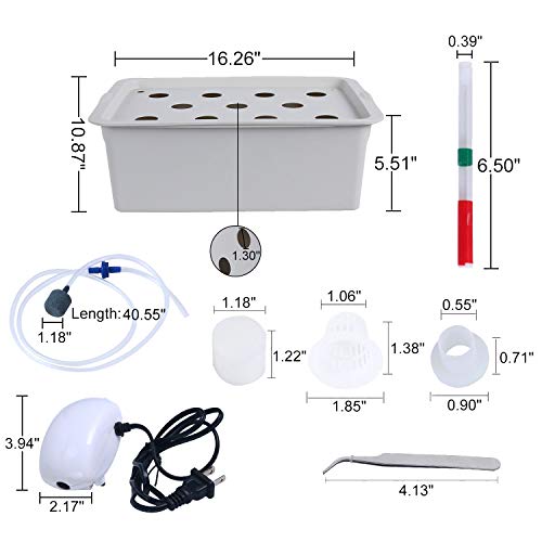 Homend Indoor Hydroponic Grow Kit with Bubble Stone, 11 Sites (Holes