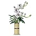 Kit per la costruzione di bouquet di fiori, orchidee Bonsai, fiori artificiali, collezione botanica contiene vaso.for 14+ Girl and Adult New 2022 (588 pezzi)