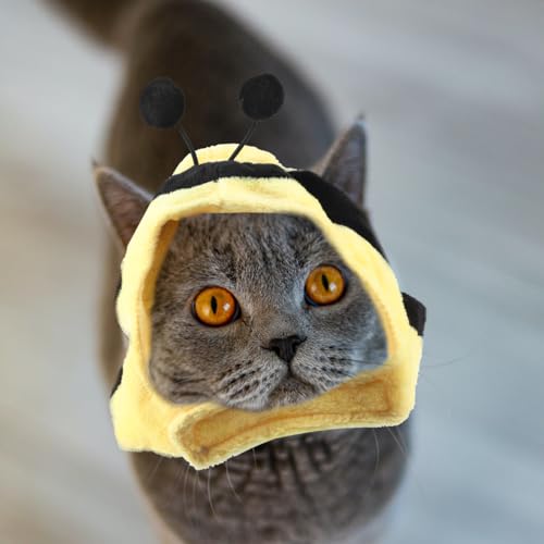 Balacoo Diadema para Gatos y Perros Tamaño L miniatura 7