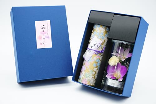 yԂ Ӓ̃vU[uht[Ƃ̃A\[gz̏Ȃ E䋟lt rEMtgEiEp ynƕONiyIWiz (g~̍̂ ݂̒)