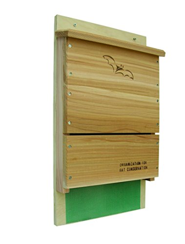 Looker Songbird Essentials Organization for Bat Conservation (OBC) Single Chamber Bat House