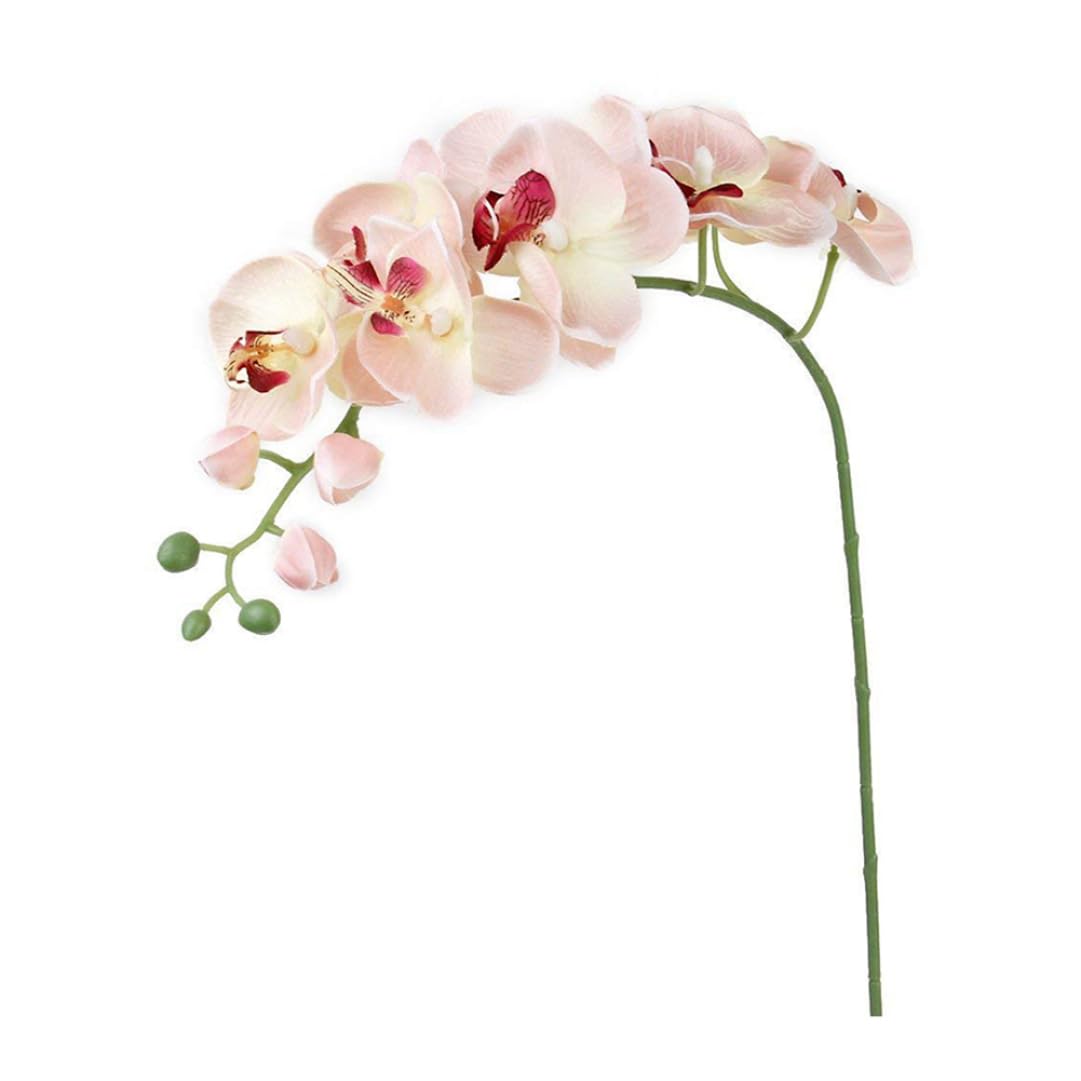 Monetais 1-Pack Artificial Orchid Flower Stem, Real Touch Simulation Butterfly Orchid Silk Phalaenopsis, for Centerpieces