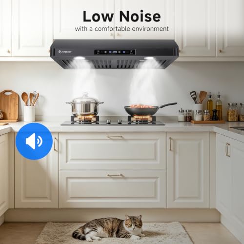 Image of AMZCHEF 30 inch Stainless Steel Under Cabinet Range Hood, 1050 CFM Dual-Fan