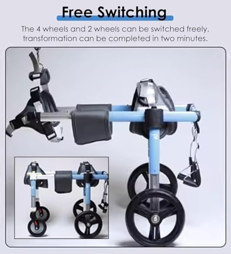 Silla de ruedas para perros: Solución ajustable para parálisis de mascotas 5