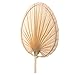 LOUYENOUS Straw Hand Fan 5pcs Old-fashioned Cattail Fan Palm Leaf Hand Made Khaki Natural Bamboo Fan Wicker Hand Fan(Khakix2pcs,41.5X29.5CMx4pcs)