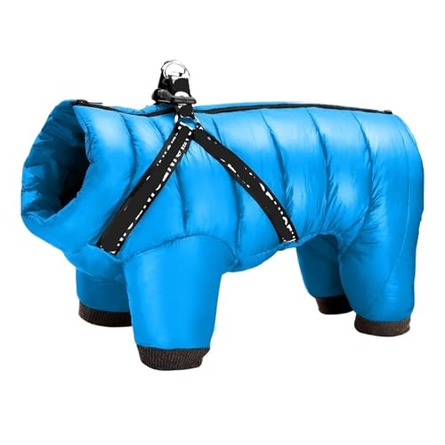 n[lXt~ppR[g - ghA^E^p(Blue,16)