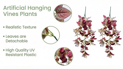 Image of Dekorly 2 Pack Artificial Plants Artificial Hanging Plants Faux Eucalyptus Leaf Greenery Fake Hanging Eucalyptus Plant (Green) (2, Red Money Plant Vines)