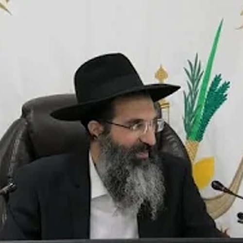 אני והו הושיעה נא | הרב שי עובד | חמישי - חול המועד סוכות - תשפו