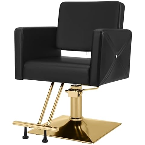 Artist hand Hydraulic Styling Salon Chair Black and Gold Cover