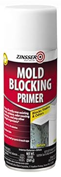 best paint for mold