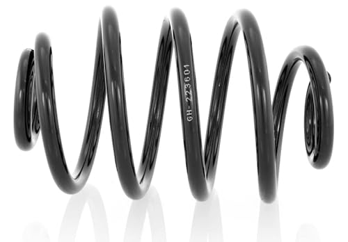 GH - GH-223601, 1 molla posteriore destra =