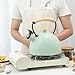 HGRVUTCFI Stove Top Whistling Kettle 3L Heating Water Whistling Kettle, Stainless Steel Tea Pot Iron Tea Maker Infuser Anti-Heat Wooden Handle, Hot Water Kettle for All Stovetops Kettle