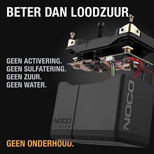 NOCO Lithium NLP20, Groep 20, 600A Lithium Motorfiets Accu, 12V 7Ah-Batterij met Dynamisch BMS voor Motorfietsen, ATV's, UTV's, Jetski's, Scooters en Sneeuwscooters - Image 4