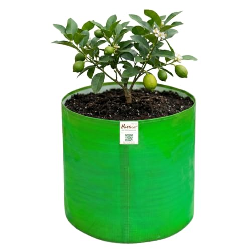 Image of Premium HDPE UV Stabilised Grow Bag 24x24 Inch (Pack of 1) | 260 GSM Heavy Duty Round Planter Bag | Reusable Fabric Pot for Terrace, Balcony & Vegetable Gardening